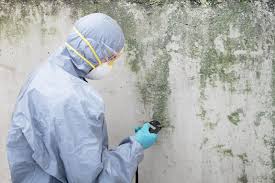 Biohazard Mold Removal in Long View, NC